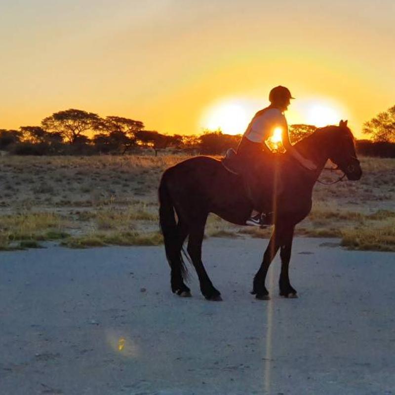 Zu Pferde in der Kalahari
