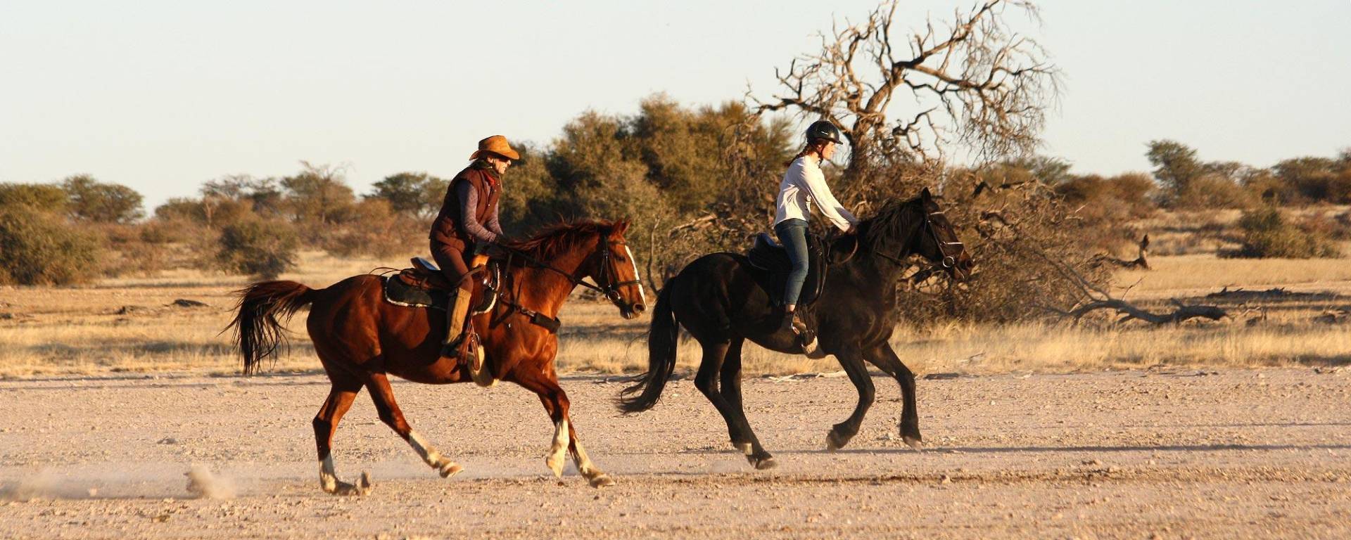 Horse riding at Kuzikus Reserve