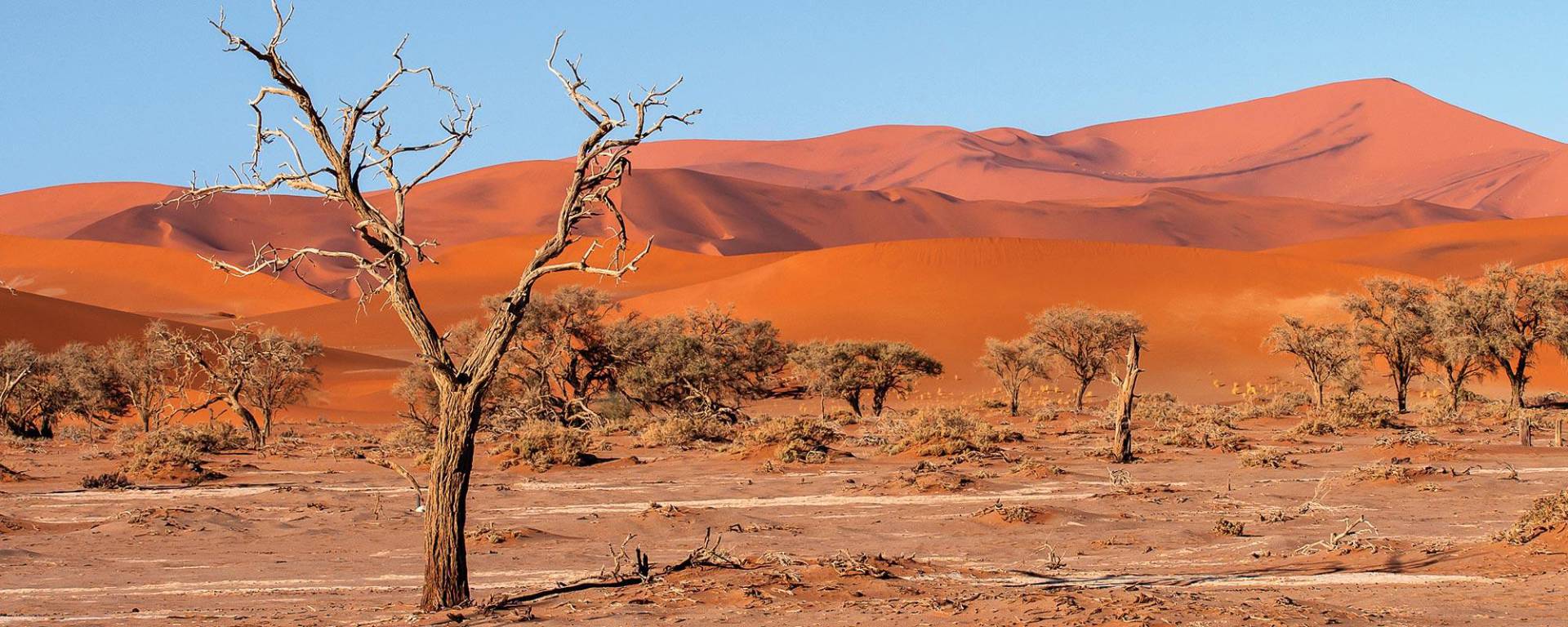 The orange dunes of the Sossusvlei in the Namib