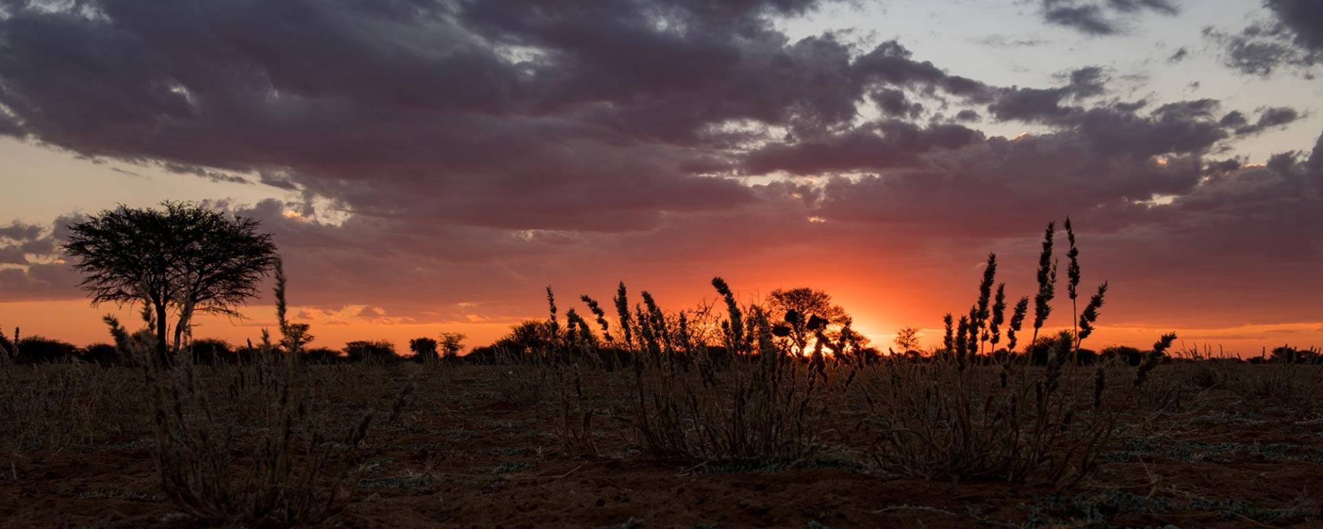 Sunset - always a special thing in Namibia
