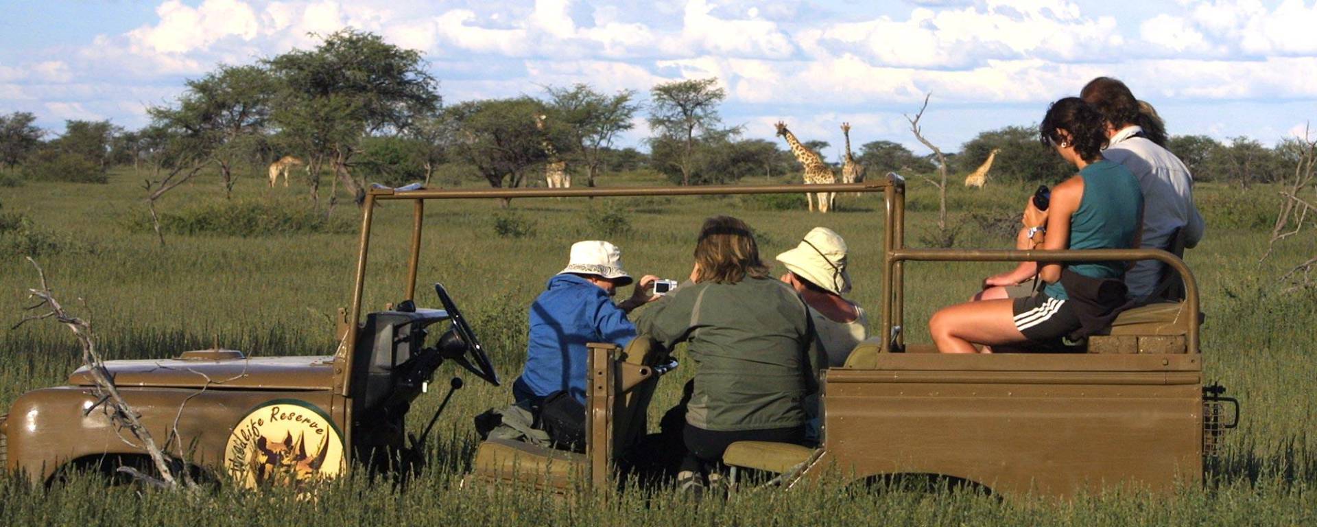 Giraffe observation at a Kuzikus nature drive